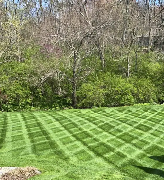 Lawn Mowing, Cincinnati, OH Lawn Mowing, Cincinnati, OH